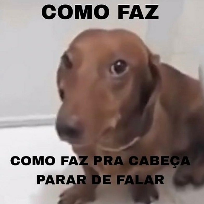 acervobichinho's tweet photo. https://t.co/vLFk2KENDL
