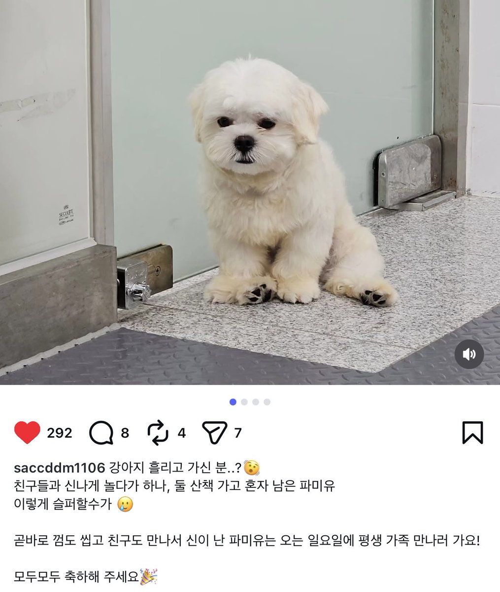 chrryever's tweet photo. 파미유 평생 가족을 만났대 🥺🥺🩷 https://t.co/3XCkssYaqo