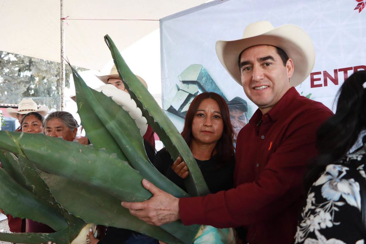GlezNapoleon's tweet photo. Gira en Zimapán entregando apoyos agrícolas, ganaderos, avícolas y acuícolas para familias del campo en Zimapán, Jacala y Pacula. 🌾🐓🐟
Junto a presidentes de la región, refrendamos el compromiso del gobernador @juliomenchaca_ con el sector agropecuario. 
#ElHidalgoQueQueremos https://t.co/Nz3hOIqh6b