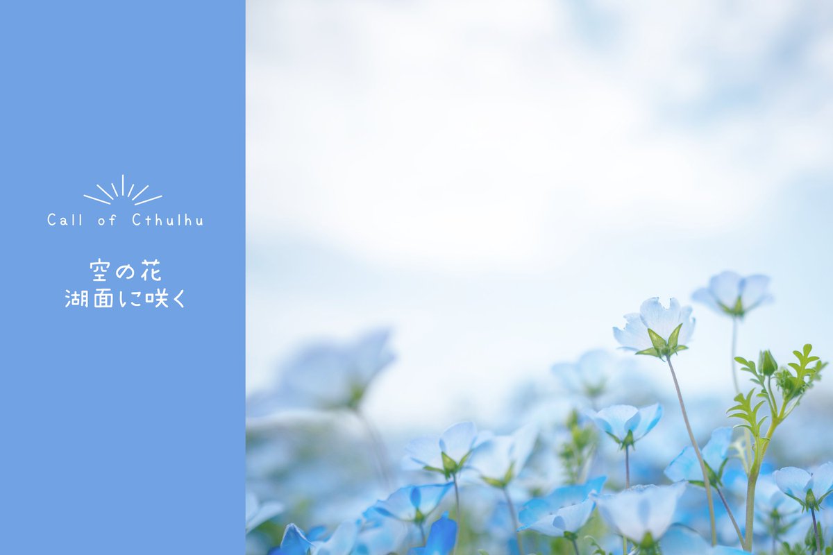 smzm99's tweet photo. 【空の花 湖面に咲く】

ネモフィラ畑でデートするシナリオ
2月ごろに頒布予定。

日帰り編：
ネモフィラデートのみ。
お泊り編：
ネモフィラデートしたり、湖上でダンスをしたりする。 https://t.co/7eIIozgCM4