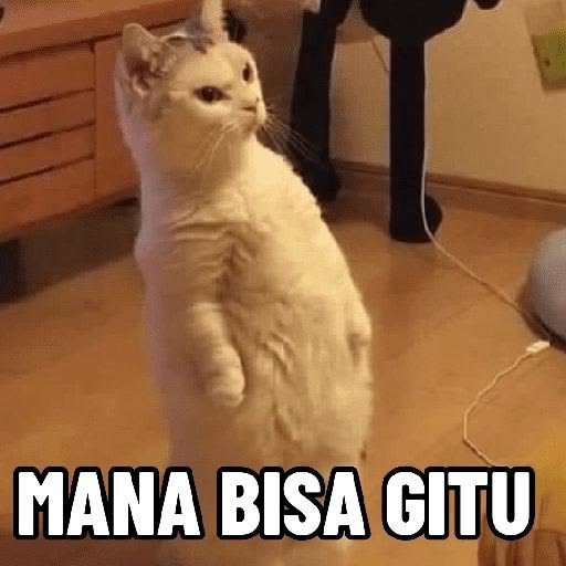 merahcn's tweet photo. @biyyucaine HEHHHHHH KENAPA BENERAN DISCAN? https://t.co/NteQd9ofk7
