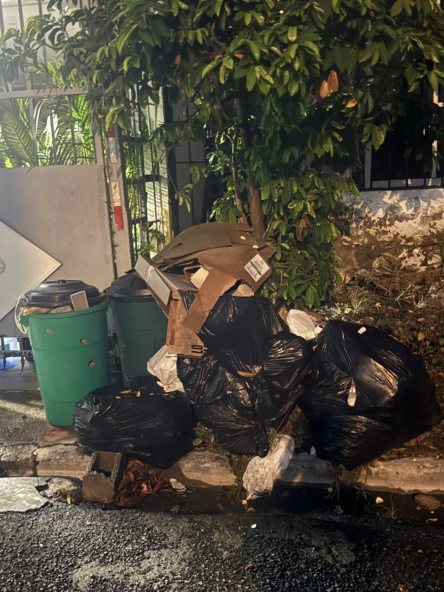 Angielora's tweet photo. Continuamos con el grave problema en la C/ B, del N. Amanecer en la Aut. San Isidro, 14 días sin pasar el camión de la basura, nos invaden las plagas, con las lluvias, PELIGRO SANITARIO. 
@dioastacio @Alcaldiasde_ @alcaldiasde @AmbienteRD @Aseourbanoadn #aseourbano #Denuncias https://t.co/S2uWARnaX2