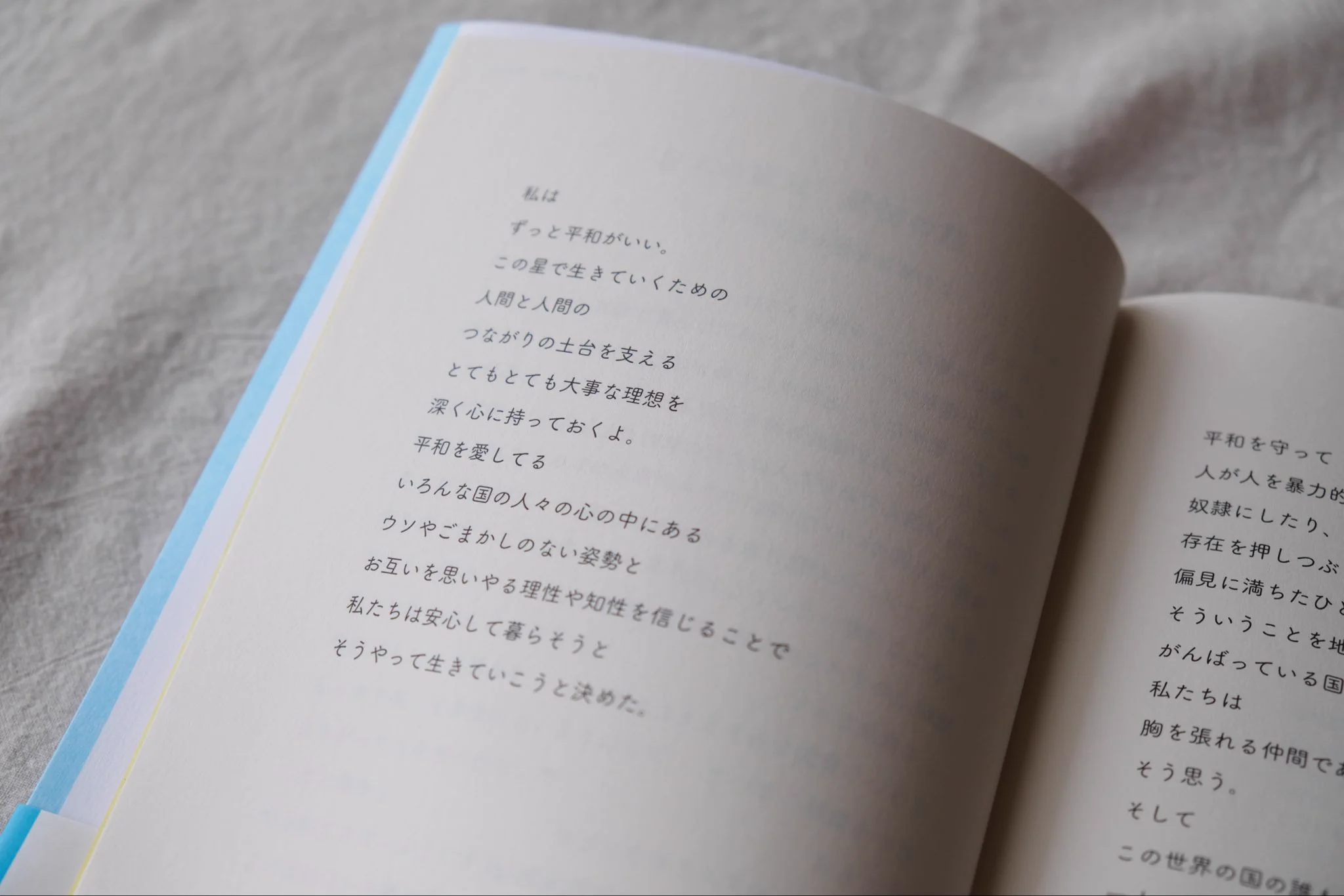 白井 明大 ｜ZINE『日本の憲法 最初の話 ブックレット』頒布中