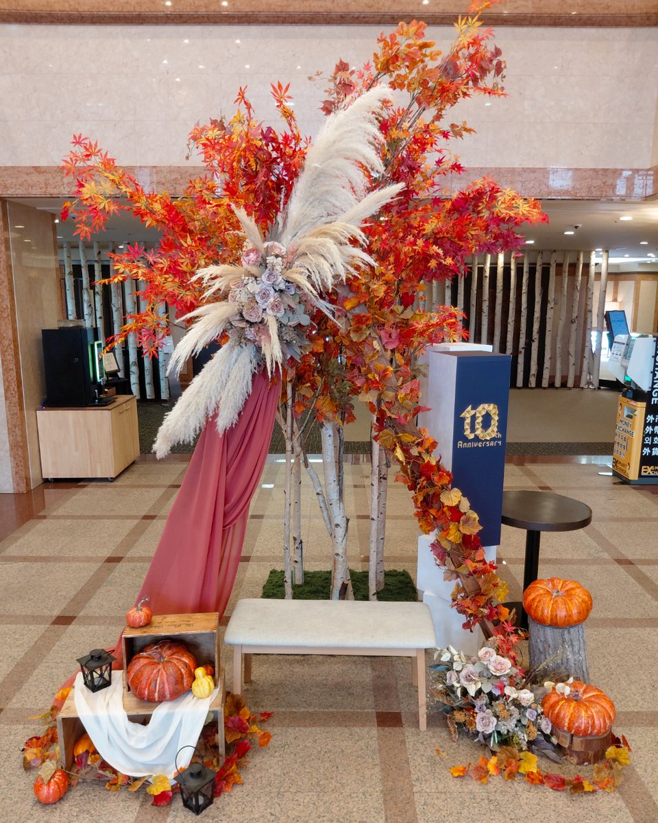cabinhakodate's tweet photo. ロビーが紅く色づいております☺️
カボチャもあしらって秋らしい雰囲気
食欲の秋、読書の秋、旅行の秋？
みなさまは秋をどう過ごされますか🍁
#函館 #北海道 #秋 #秋旅 https://t.co/TMz4HGdNkL