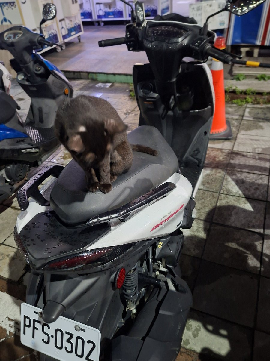 Jelly9915's tweet photo. 老大借過一下 你這樣我沒辦法回家啊🫩 https://t.co/pgzf6EcGYw