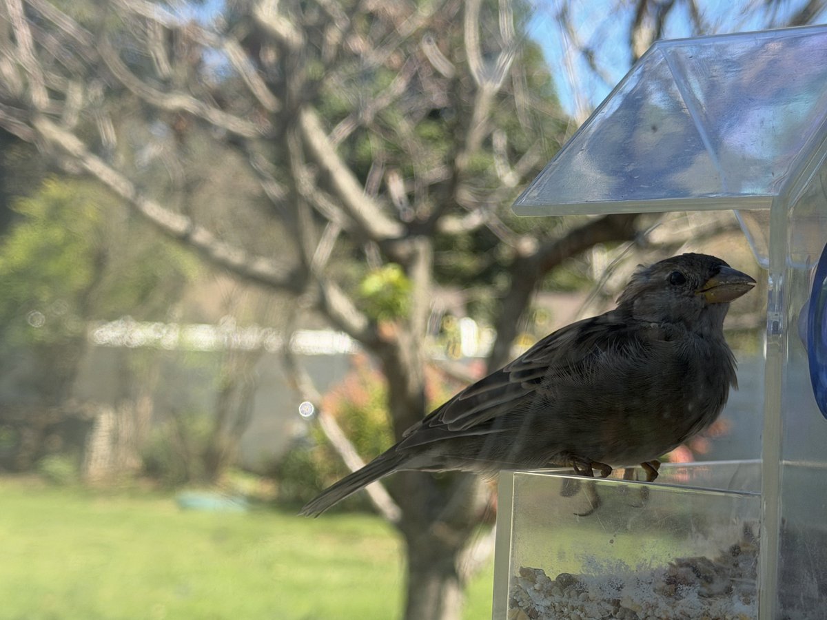 almostparanoid's tweet photo. Good morning little one https://t.co/XX3lbg8Agx