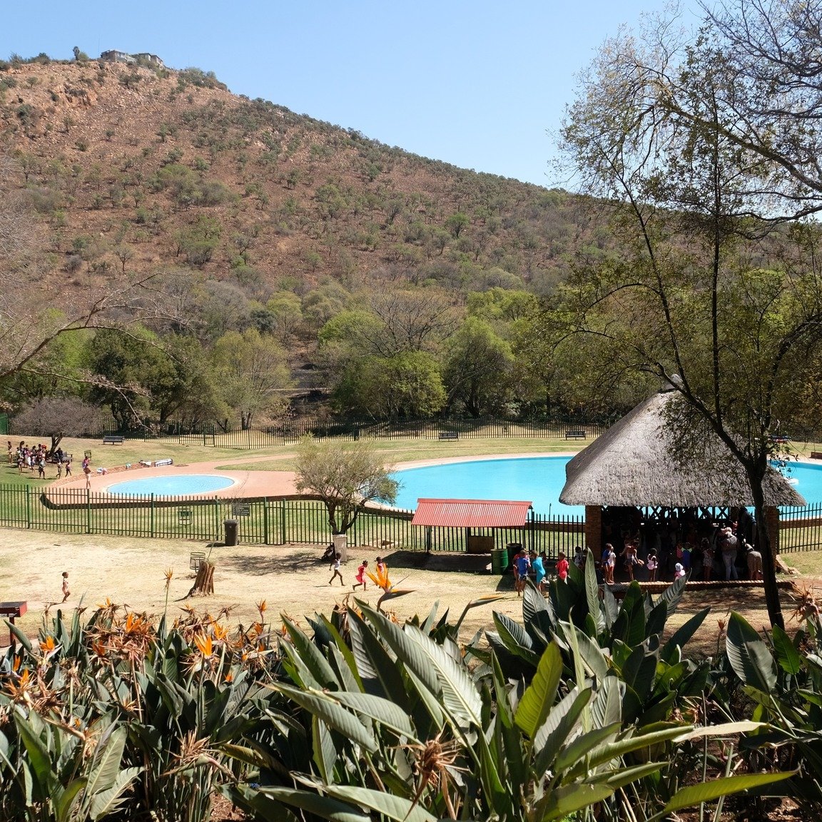 CityofJoburgZA's tweet photo. Little Falls Resort Gets Ready for the Upcoming Festive Season 

Pack a picnic basket, bring the family and come enjoy the tranquility of Little Falls Resort from 1 October – a refreshing summer escape in Roodepoort, Region C.

⬇️Read more on our website:
🖱https://t.co/cCzy8vH7yj

#JoburgUpdates ^GZ