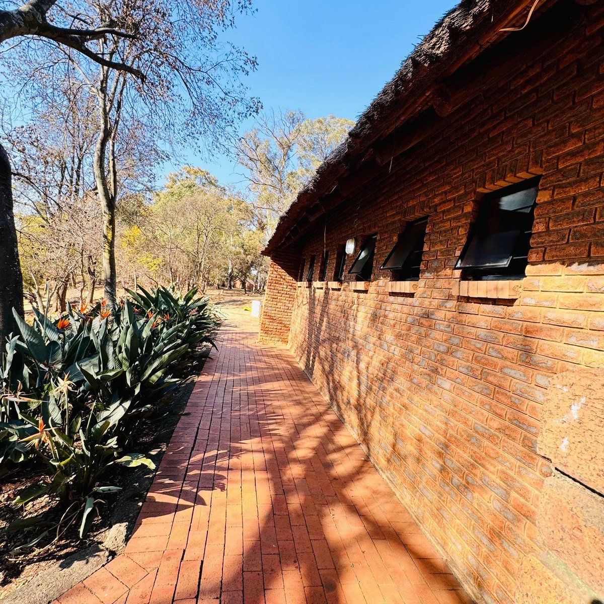 CityofJoburgZA's tweet photo. Little Falls Resort Gets Ready for the Upcoming Festive Season 

Pack a picnic basket, bring the family and come enjoy the tranquility of Little Falls Resort from 1 October – a refreshing summer escape in Roodepoort, Region C.

⬇️Read more on our website:
🖱https://t.co/cCzy8vH7yj

#JoburgUpdates ^GZ