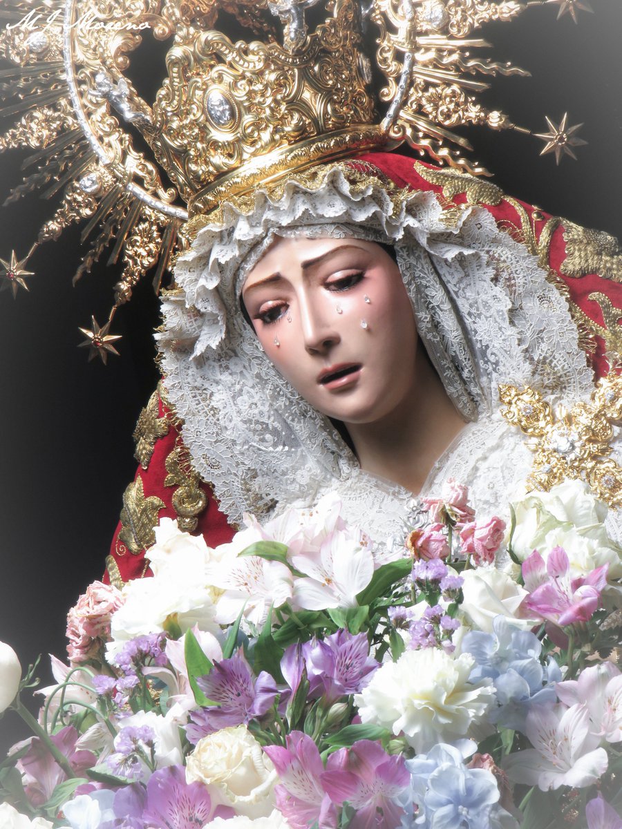 _manueljmoreno_'s tweet photo. Flor entre las flores

@HdadlosDolores #TDSCofrade https://t.co/kbebLW14ku