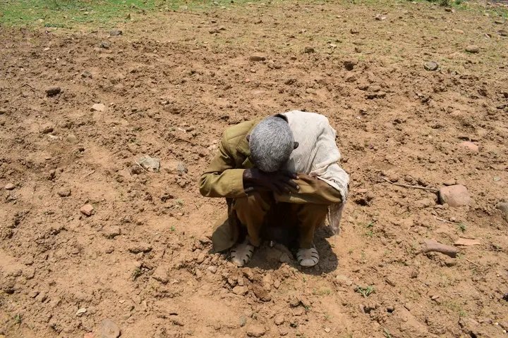 Saymen_mehari's tweet photo. 🚨💔 TIGRAY IS RUNNING OUT OF TIME. From Irob, Raya, Wajirat &amp; Abergele, drought is destroying crops, threatening livestock, and pushing families toward hunger and displacement. 🌾🆘 ACT NOW—mobilize food, water &amp; emergency aid.  #Tigray #DroughtEmergency #Irob #Raya https://t.co/vIikPUExdN