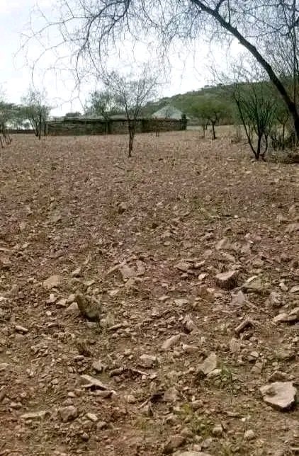 Saymen_mehari's tweet photo. 🚨💔 TIGRAY IS RUNNING OUT OF TIME. From Irob, Raya, Wajirat &amp; Abergele, drought is destroying crops, threatening livestock, and pushing families toward hunger and displacement. 🌾🆘 ACT NOW—mobilize food, water &amp; emergency aid.  #Tigray #DroughtEmergency #Irob #Raya https://t.co/vIikPUExdN