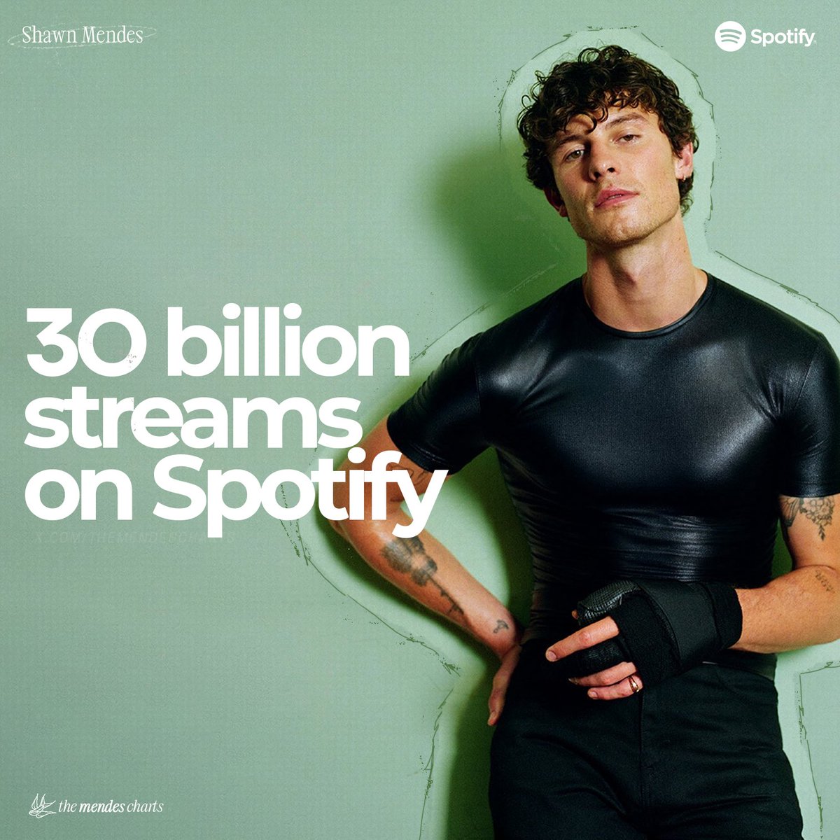 TheMendesCharts's tweet photo. .@ShawnMendes has surpassed 30 billion streams on Spotify, across all credits. https://t.co/0ok8LCJcP0