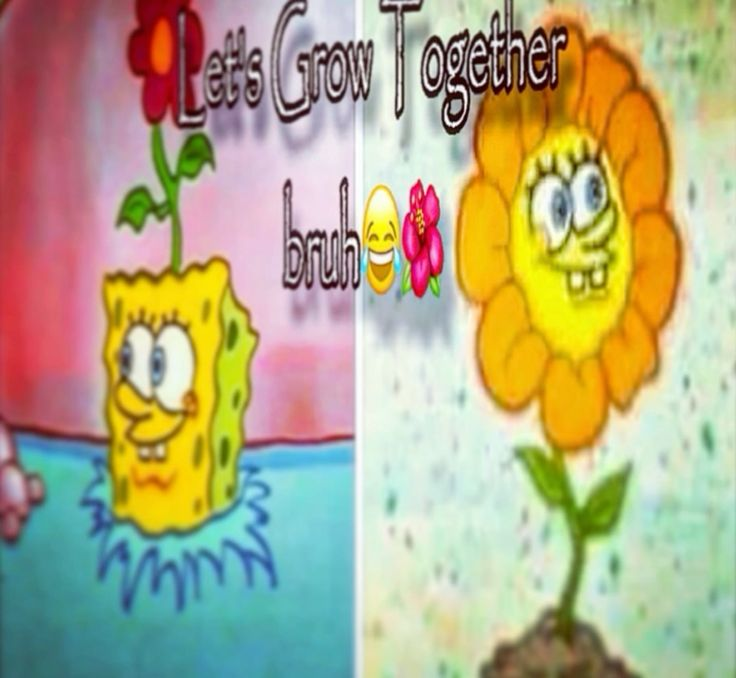 SpongeBobPNG's tweet photo. https://t.co/yuPQyDfQ5Q