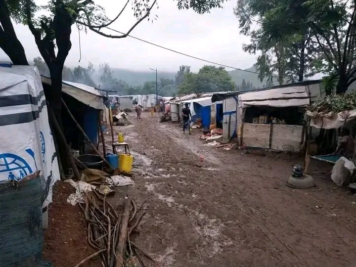 Saymen_mehari's tweet photo. 🚨💔 6+ YEARS AWAY FROM HOME. HOW MUCH LONGER?

📍 Western Tigray’s displaced mothers, children &amp; elders are still suffering.

🕊️ Their right to return cannot wait.
🌍 World leaders: ACT NOW. Protect them. Ensure a safe, voluntary &amp; dignified return.

#Tigray #WesternTigray #IDPs https://t.co/vSkwPIa3RM