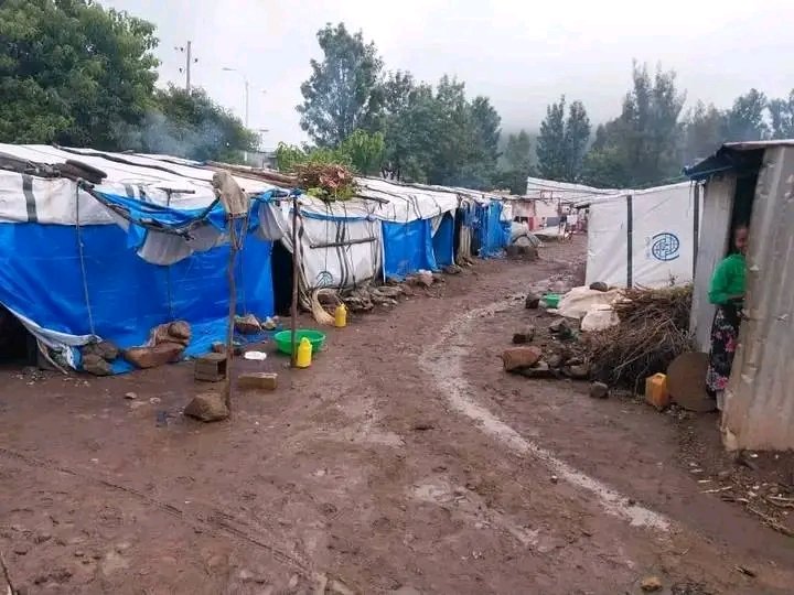 Saymen_mehari's tweet photo. 🚨💔 6+ YEARS AWAY FROM HOME. HOW MUCH LONGER?

📍 Western Tigray’s displaced mothers, children &amp; elders are still suffering.

🕊️ Their right to return cannot wait.
🌍 World leaders: ACT NOW. Protect them. Ensure a safe, voluntary &amp; dignified return.

#Tigray #WesternTigray #IDPs https://t.co/vSkwPIa3RM