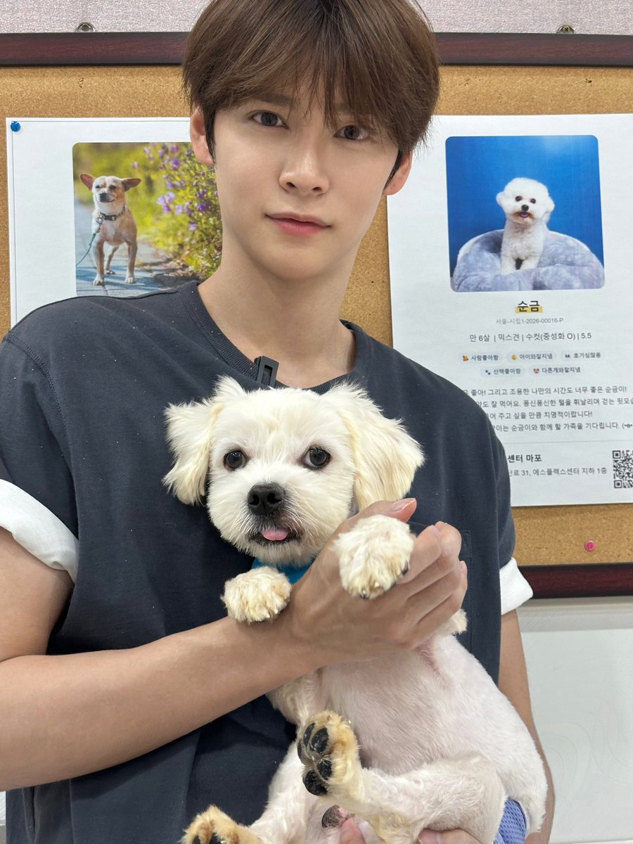 madgurlclub's tweet photo. พี่อ้วลกับมะม๋า 🐶 https://t.co/yPAo9BjQeV