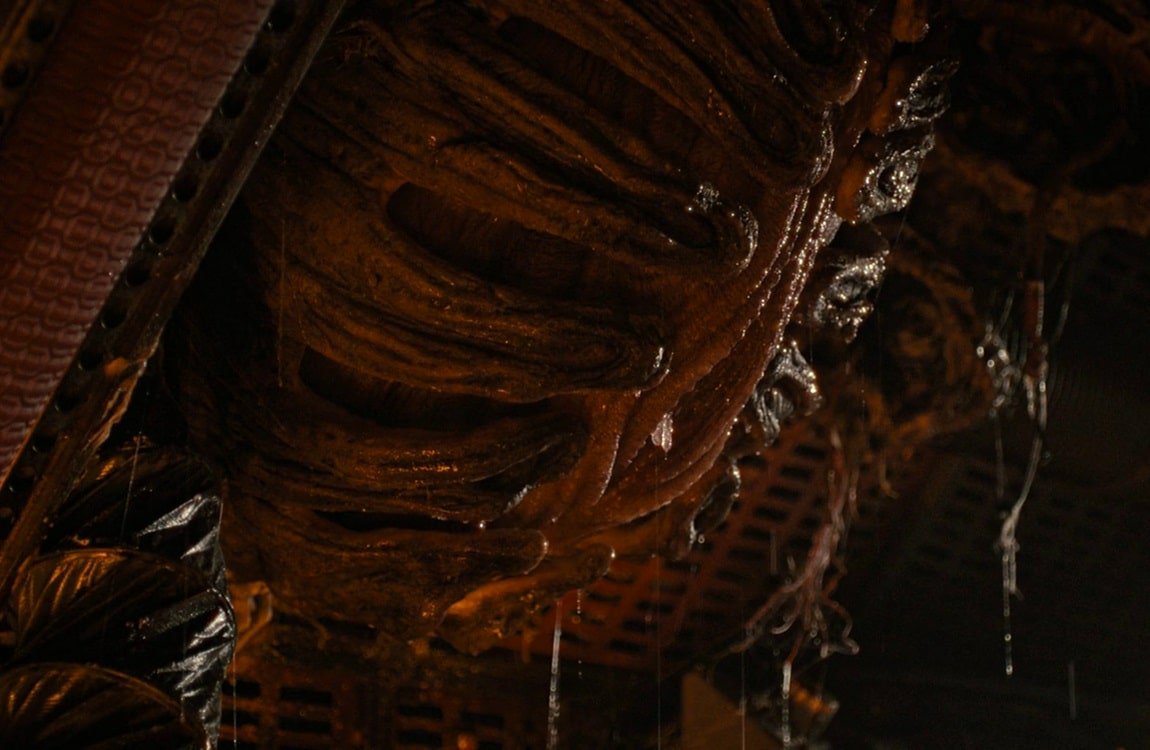 WeylandUplink's tweet photo. Scorched Xenomorph - Specimen Profile uploaded to the Weyland Uplink databank.
Access record: https://t.co/XOApj8ARNN
#Alien #AlienRomulus #Xenomorph #VFX #WeylandYutani https://t.co/yDbO0WZ8LN