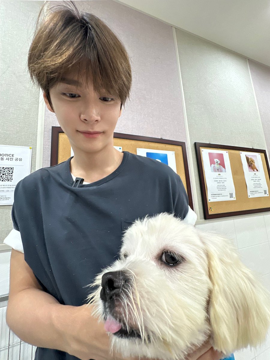 essama_'s tweet photo. 자 이제 누가 강아지지? https://t.co/bul9QxDarB