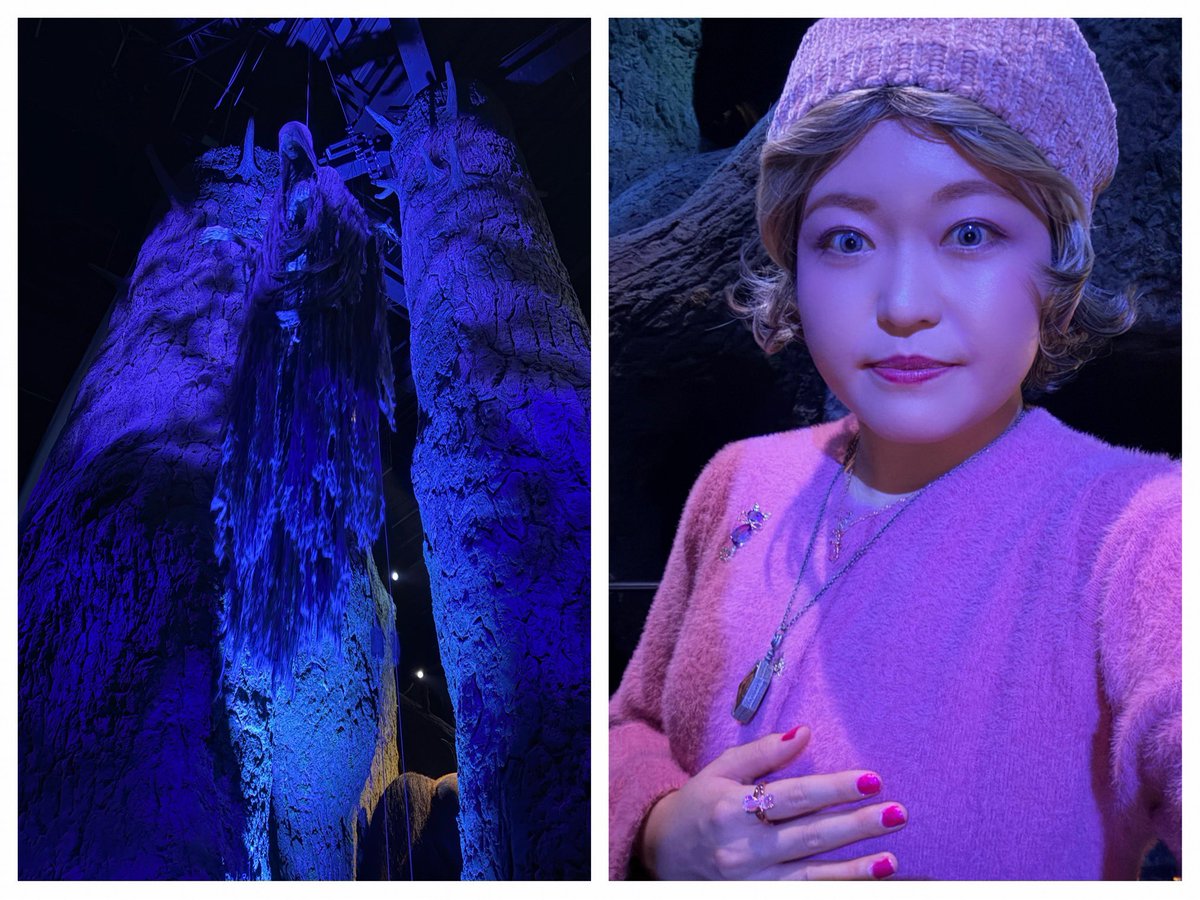 yt_dream__'s tweet photo. 先日は闇の魔術のハロウィーン行ってきました🎃👻✨
最高に楽しかったです🫶✨
闇に生きる者として、このような素敵なイベントを開催してくださり、感謝しかありません💀🐍🪄
#ハリポタツアーで闇ハロ
#ハリポタツアー
#StudioTourTokyo https://t.co/q8wZnadq2x