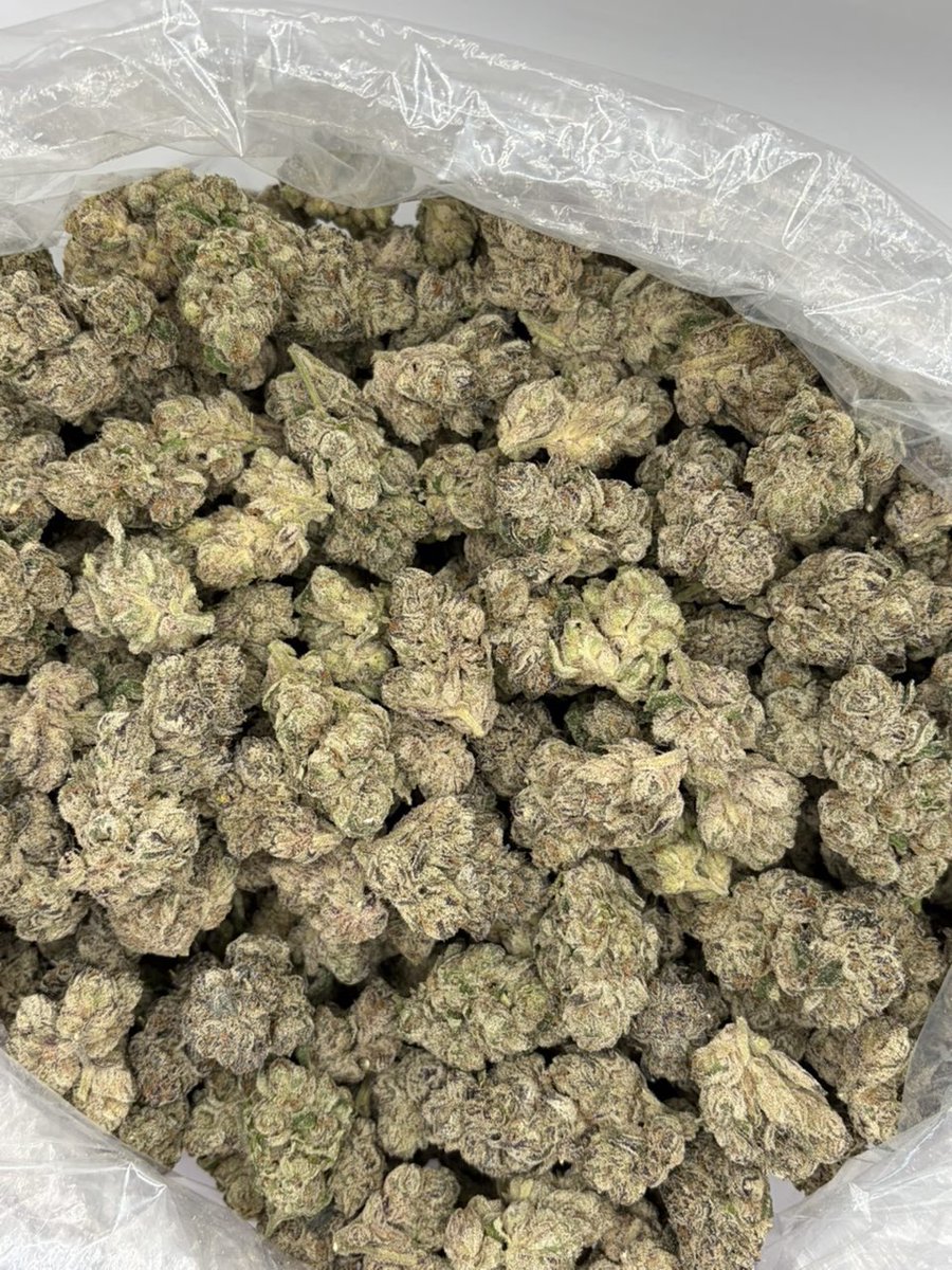 vault_green1's tweet photo. GELATO plushers indoor 
 #atl #atlanta #gwinnett #atlplug #atlfreaks #za #mobile #duluth #lawrenceville #norcross https://t.co/DvtYuu8N2a