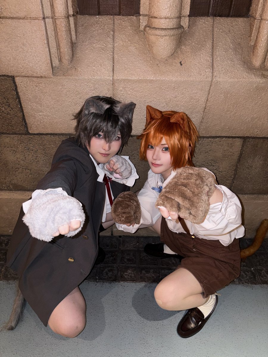 xoz7xh's tweet photo. アウパ❣️おしゃれキャットでした、超楽しかった！😻😻

#Dハロ仮装2026 https://t.co/S4WXuYHrIp