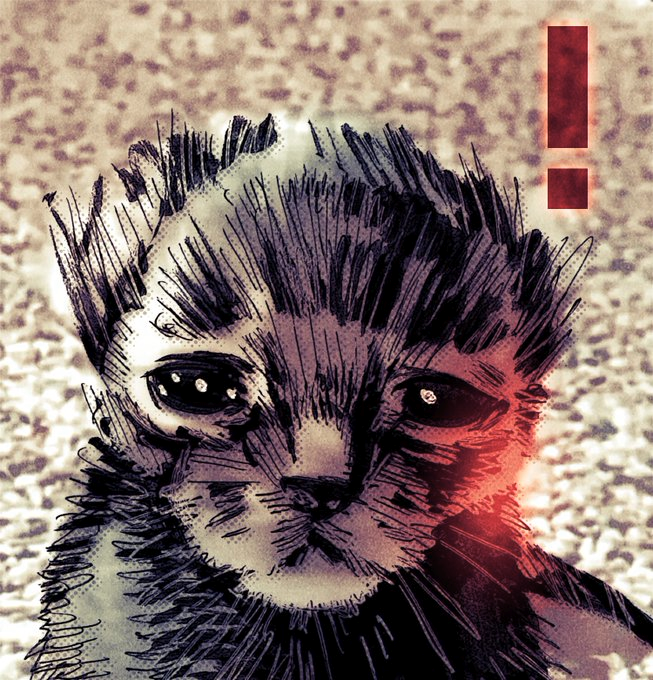 teoft_ tweet picture