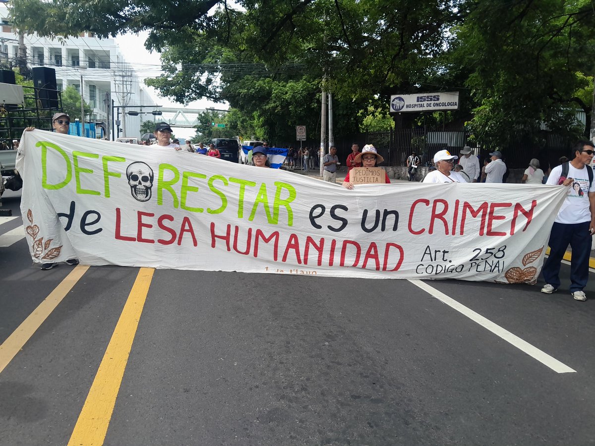 mpbc4's tweet photo. Asi fue el colorido de las organizacilnes que marcharon 15 de septiembre.
Con exigencias claras dirigidas al gobierno. https://t.co/wHZNS9Iltp