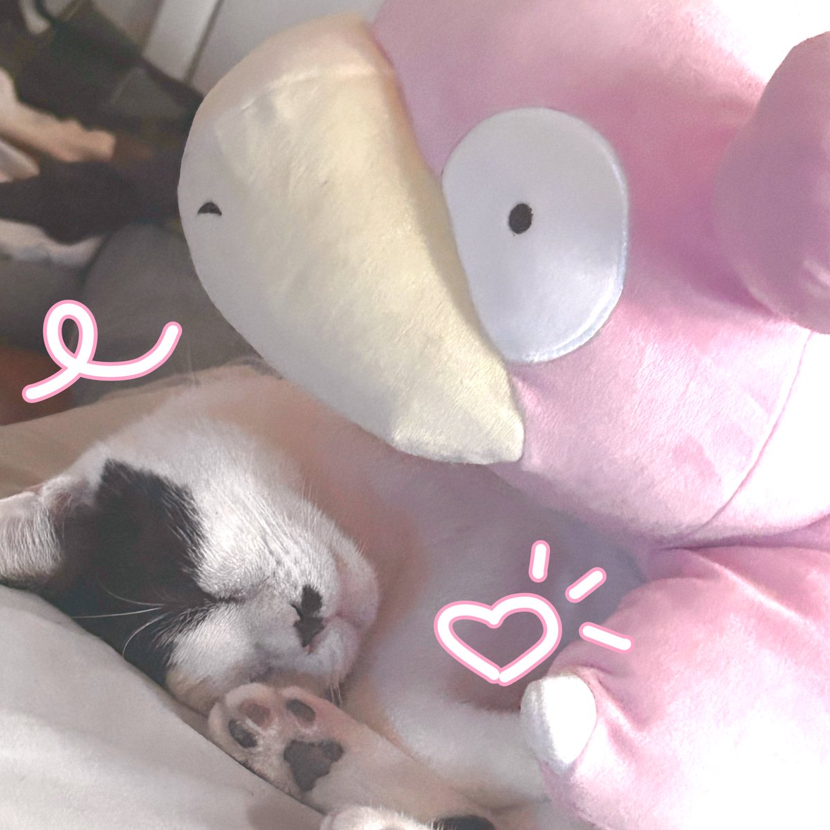 awaserika's tweet photo. my lazy little boys.. so cute >,< https://t.co/ddX1E7ncOH