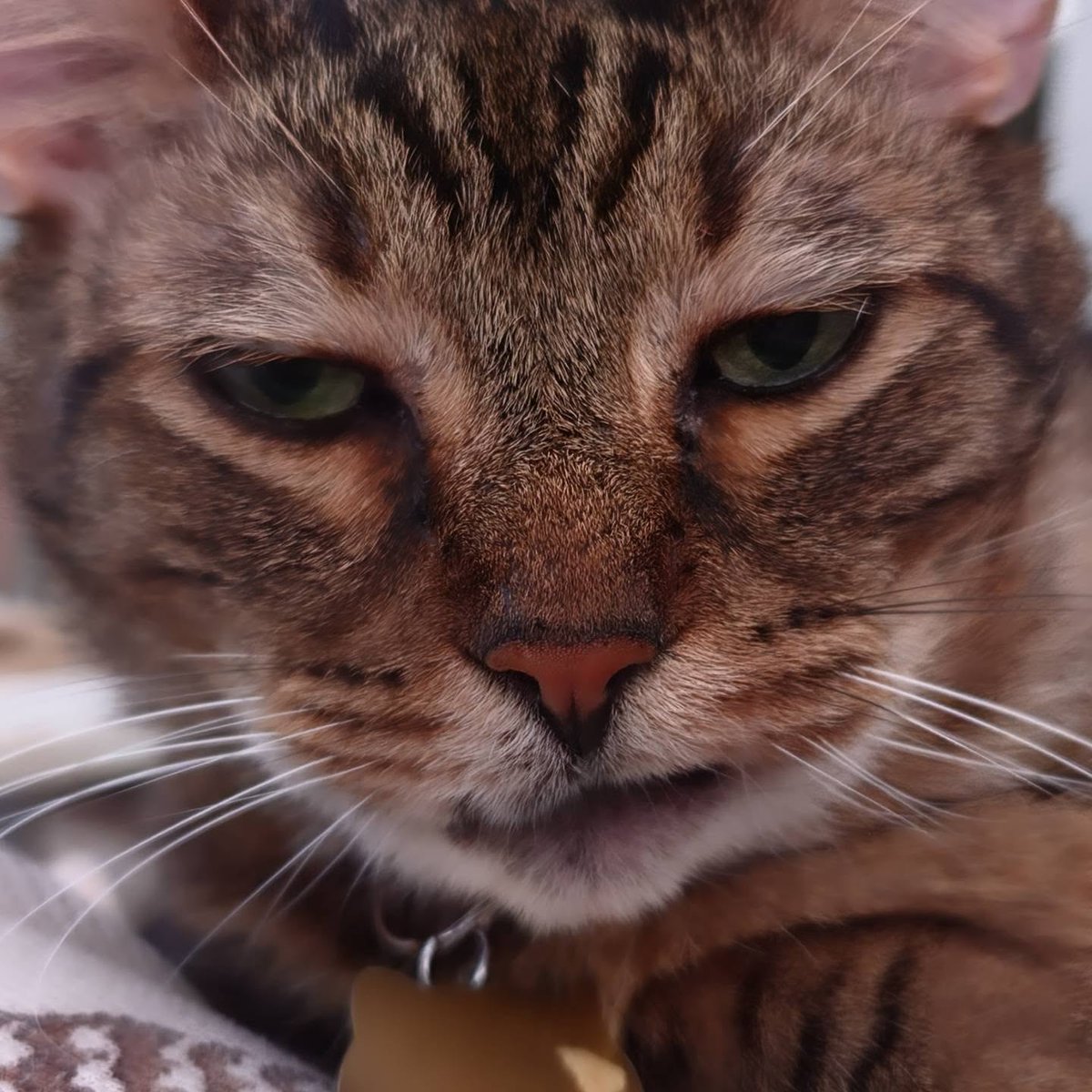 VerlieCooklae6's tweet photo. Chin times two! https://t.co/izQEYhcavY