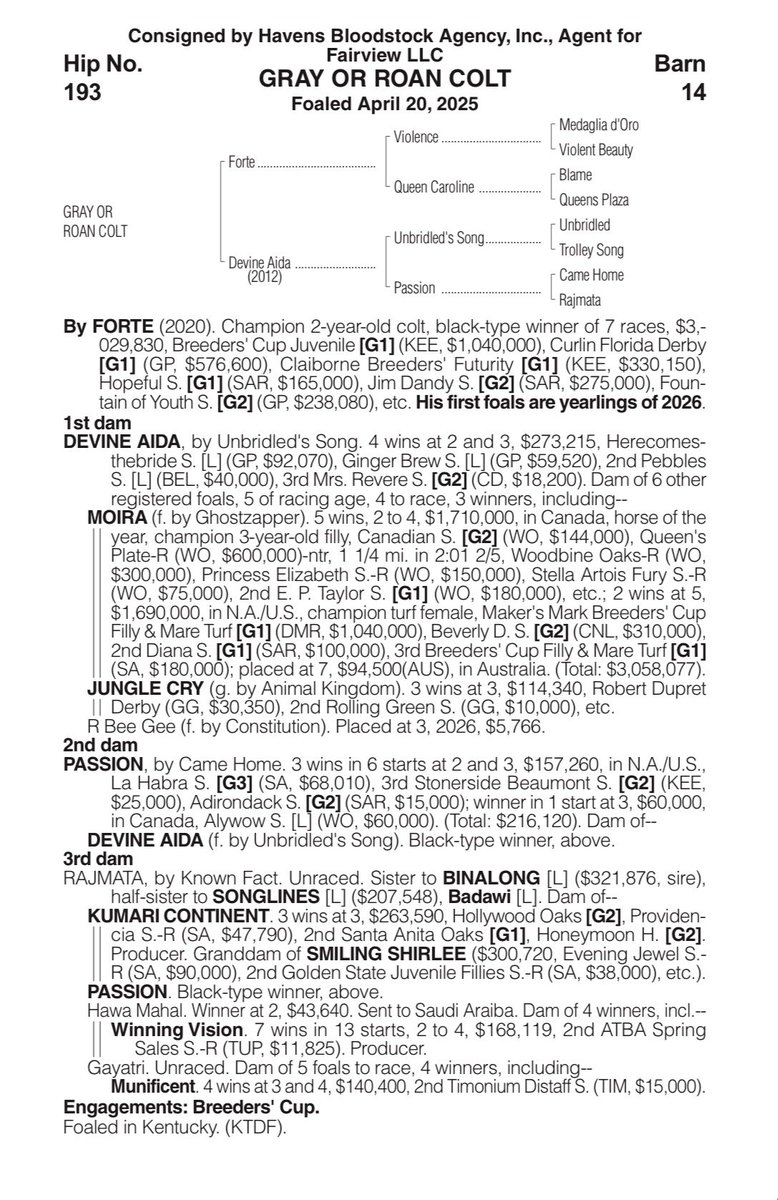 stoolpresidente's tweet photo. Newest member of the #gogogreys stable. I was advised by everybody to pass on this horse but the heart wants what the heart wants. #davespick https://t.co/jmjQZ0GL1w