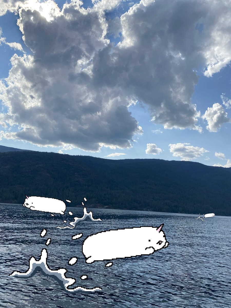 Poogie_____ tweet picture