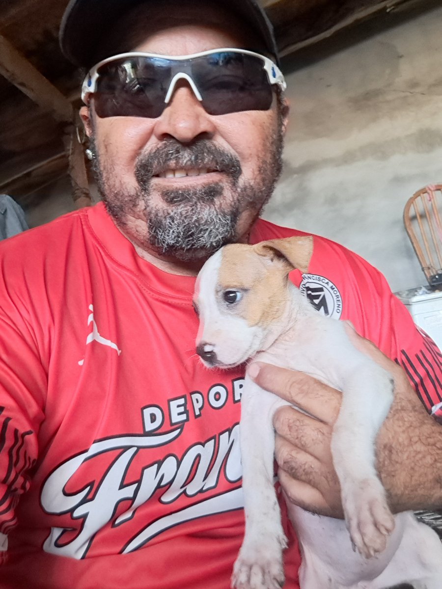 JorgeJaime_1's tweet photo. Alguien lo pidió solo una hora sin querer molestar ni ofender a nadie un mini teléton para alimento productos de limpieza bolsas para basura platitos pastillas para las garrapatas etc se que sera difícil pero dios proveerá )apoyanos si alguien me apoya me pude mandar mensaje grs https://t.co/udzjEnEW7M