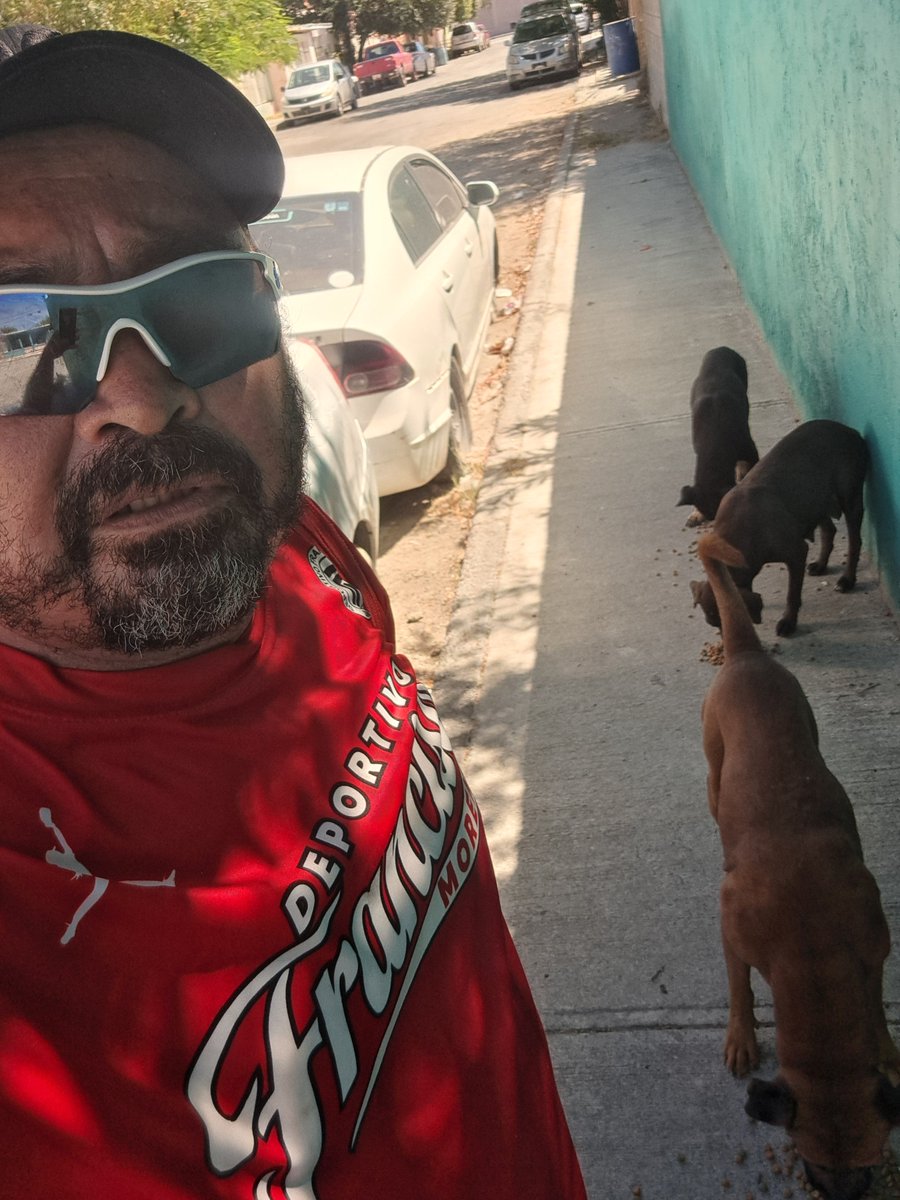 JorgeJaime_1's tweet photo. Alguien lo pidió solo una hora sin querer molestar ni ofender a nadie un mini teléton para alimento productos de limpieza bolsas para basura platitos pastillas para las garrapatas etc se que sera difícil pero dios proveerá )apoyanos si alguien me apoya me pude mandar mensaje grs https://t.co/udzjEnEW7M