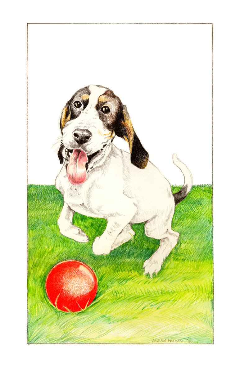 403_9244's tweet photo. I paint your pet from photograph, for $325.  Email me and send photo to:  afn_4@yahoo.com https://t.co/zQFD1nW8D4