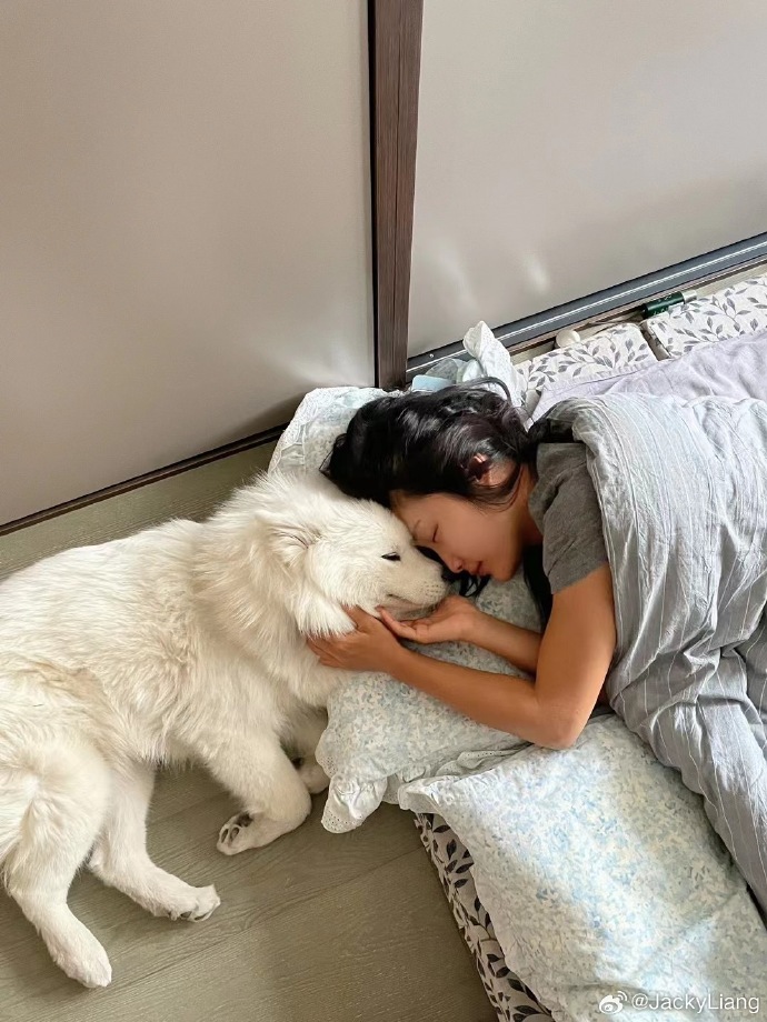 alorp764399's tweet photo. Nothing beats a lazy Sunday spent curled up with my fur buddy  Pure, warm happiness.， https://t.co/aH0i64zFjy
