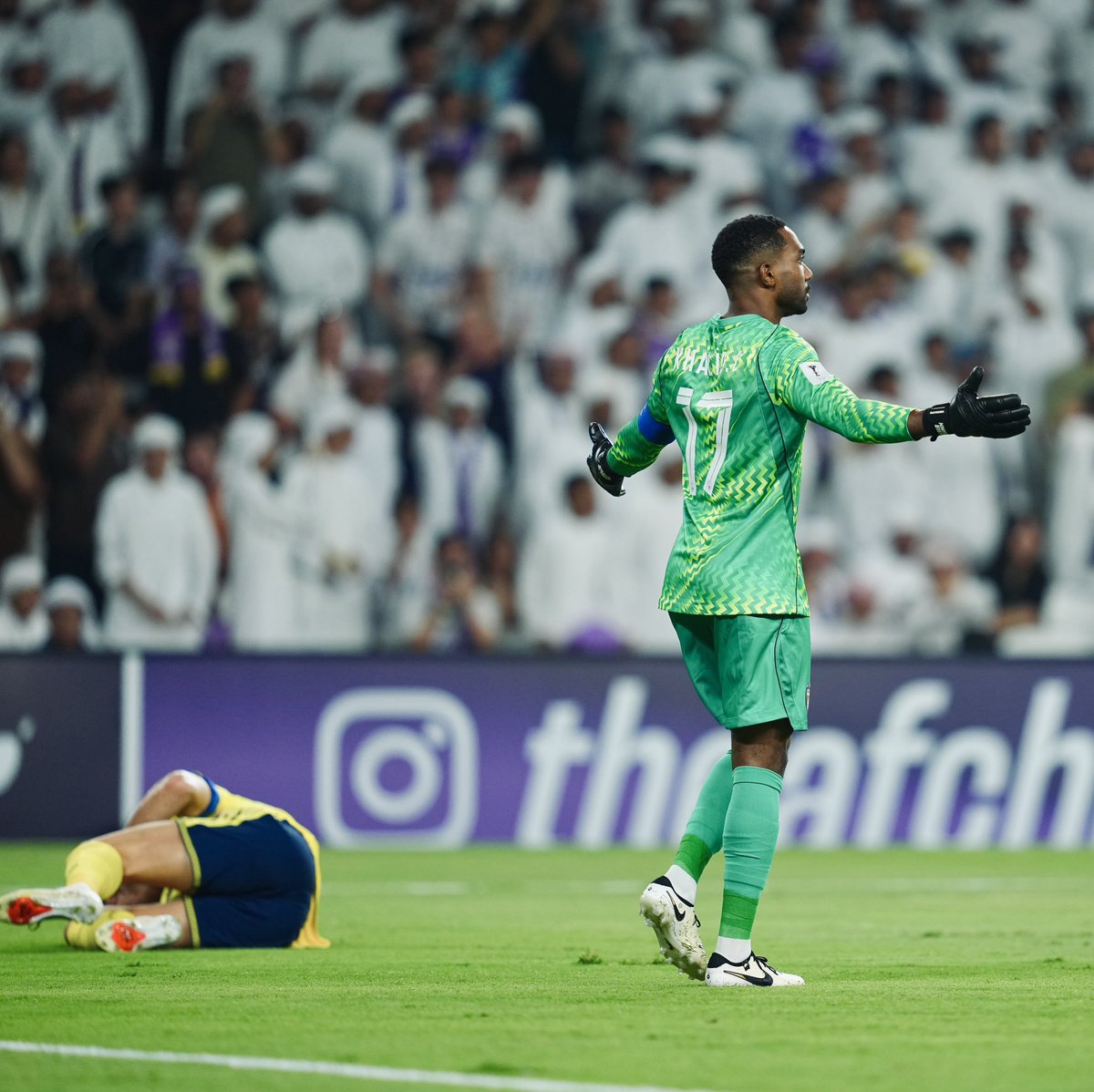 alainfcae's tweet photo. العشب في العين لا يُقاوم على ما يبدو 😴 https://t.co/lSSoBC2NAo