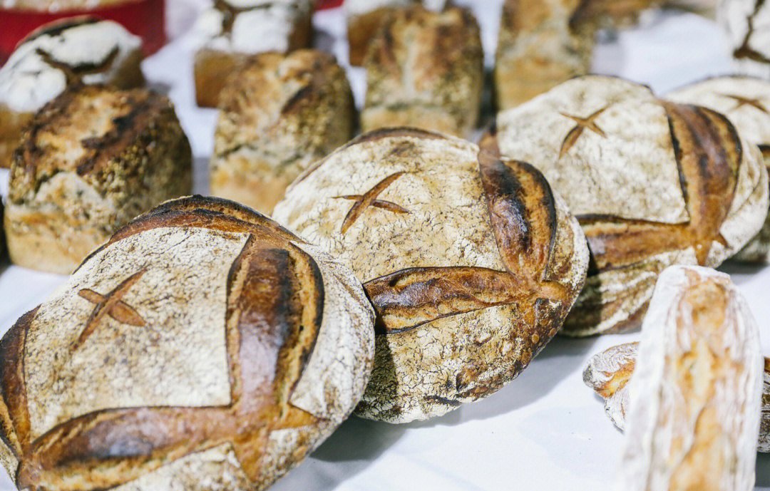 solil110560's tweet photo. [Just pulled my first sourdough loaf from the oven — that crispy crust and soft crumb Baking magic at its finest!  #HomeBakingWin]， https://t.co/Se6NXs0GP4