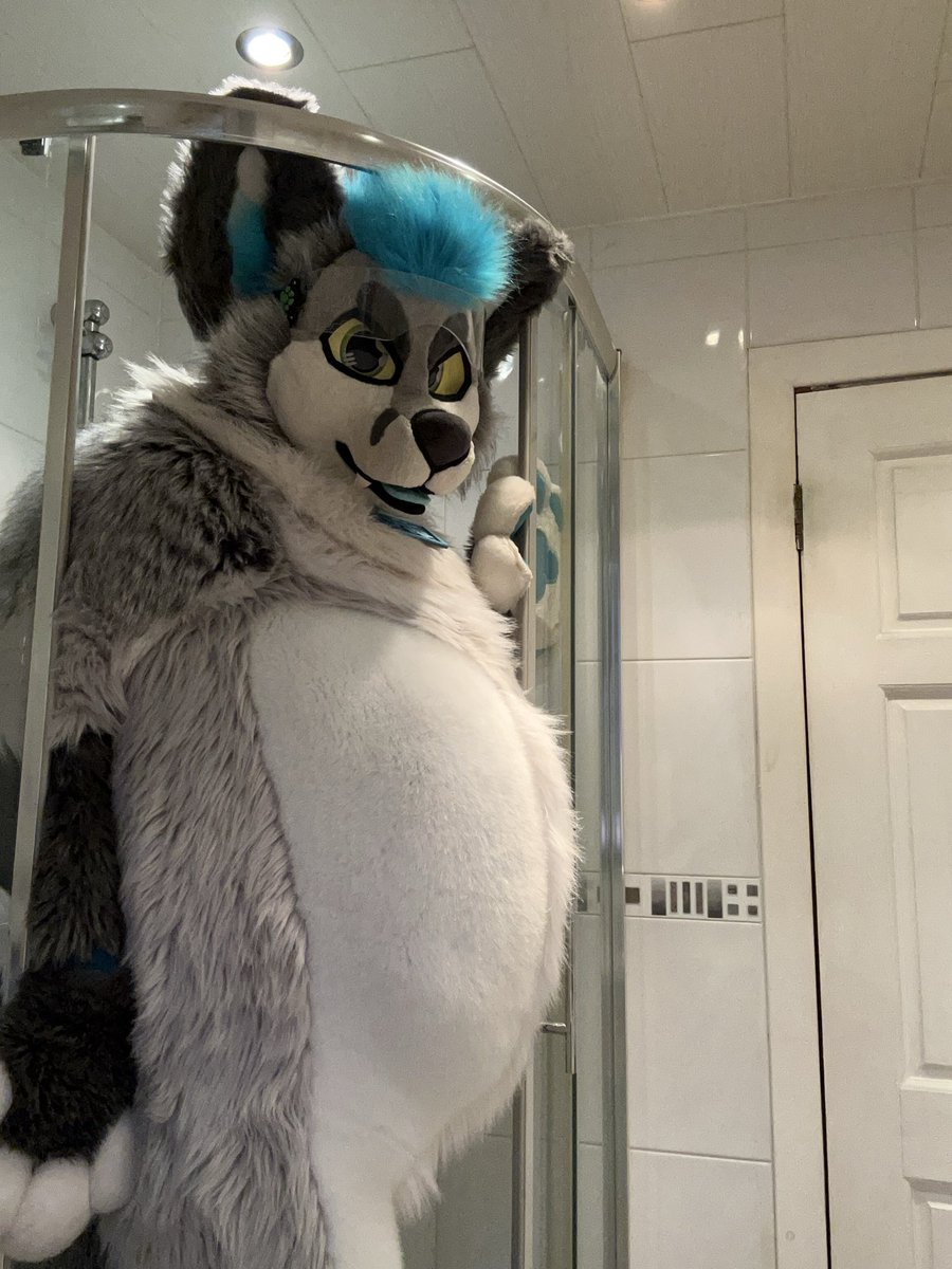 JukeFoxo's tweet photo. Help! My belly is stuck again 😅 Might need to cut back on all the snacks 😳 #TummyTuesday https://t.co/wE9nwsjnLt