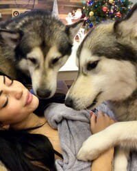 Debbiek9notting's tweet photo. SEASON PACK!🐾💋
AMAZING OFFERS😍🔥
HIT ME UP FOR MENU &amp;amp; PRICE 🔞🔞🔞

https://t.co/Bq01ApKZ7X

#zoophillia #zoosarevalid #beastiality #dogknot #zooprideisvalid #zoophile
#antizoo #antizoophileantizoo #k9girl
#zoopride
#zoophilepride #zoopositivity
#Bestiality #hypnotist https://t.co/xez1csb900