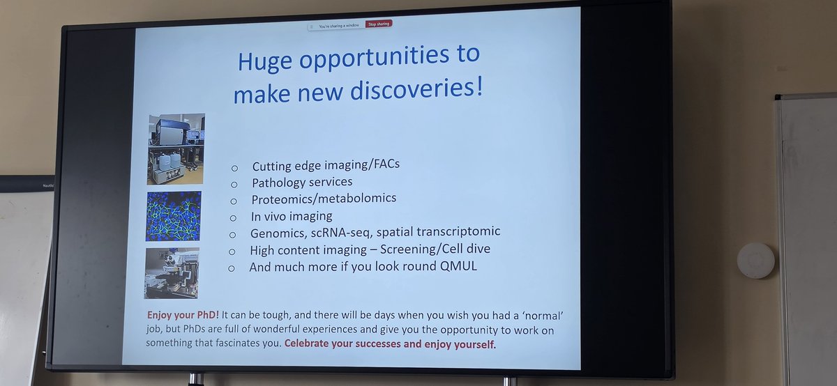 LambAlastair's tweet photo. Great to welcome class of 2026 PhD students to @QMBCI ! 

#CuttingEdgeScience 🔬🧬
#CancerBiology 🦀🎗

Intro lecture from Paulo Ribeiro:
"Its not just about the science"
"Celebrate your successes &amp; enjoy yourselves"

Such a place to study &amp; learn &amp; change future of #CancerCare https://t.co/zcsrcstKxf