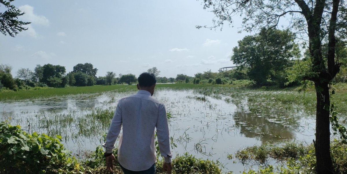DheerajBamania's tweet photo. तार फेंसिंग की स्थल जांच किसान के खेत तक जाकर करनी पड़ती है, लेकिन इतनी दौड़-धूप और बारिशमें भी जा रहे इसी लिए लिए पर्याप्त यात्रा भत्ता नहीं है।
#GramsevakNyayLadat @jitu_vaghani @irushikeshpatel
@CMOGuj https://t.co/JN4T4IgERD