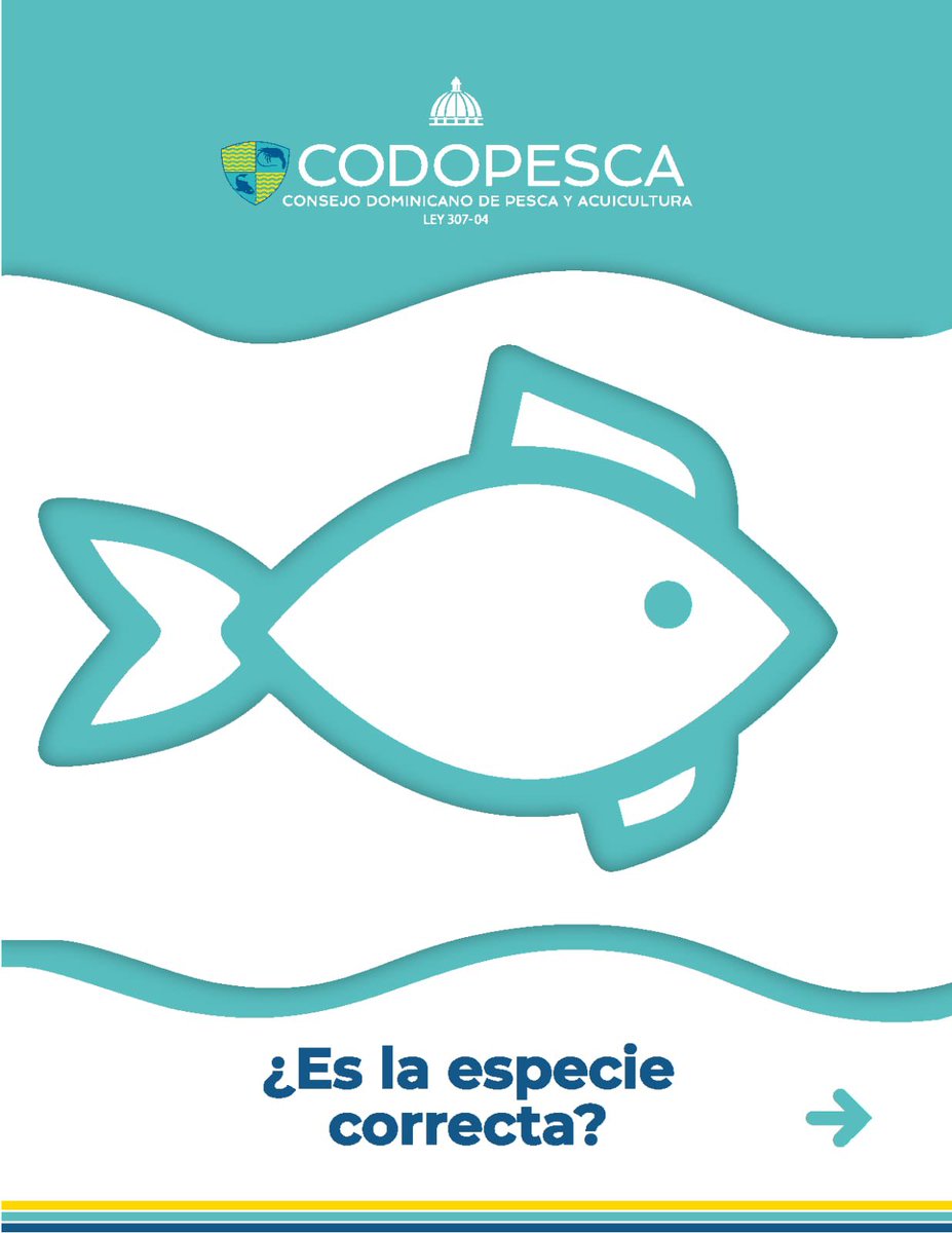 CODOPESCARD's tweet photo. Antes de lanzar el anzuelo, infórmate. Verifica la especie, la talla y la temporada permitida. Pescar responsablemente es también proteger nuestros recursos pesqueros y conservar nuestros mares para las futuras generaciones. https://t.co/OKOZBbq5eU