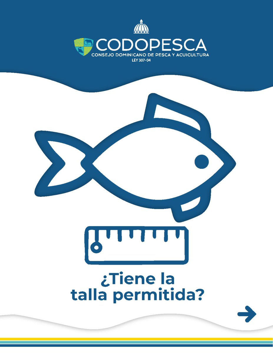 CODOPESCARD's tweet photo. Antes de lanzar el anzuelo, infórmate. Verifica la especie, la talla y la temporada permitida. Pescar responsablemente es también proteger nuestros recursos pesqueros y conservar nuestros mares para las futuras generaciones. https://t.co/OKOZBbq5eU