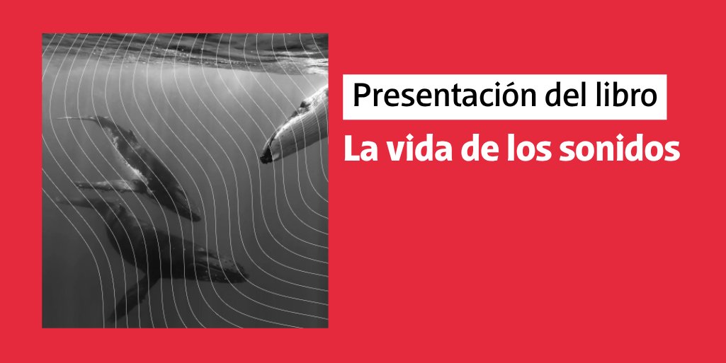 UNTREF's tweet photo. Las formas sonoras del extractivismo y su cruce con la historia de la escucha y la tecnología, de la mano de la reconocida investigadora Ana María Ochoa Gautier.

🗓️ Viernes 2/10 | 19:00 hs https://t.co/sV4Bbz5qQ0