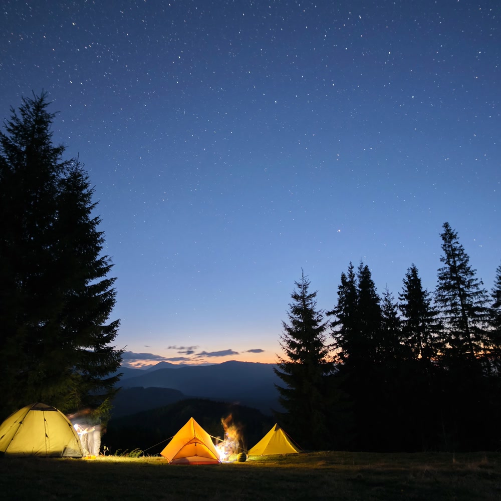 litty445991's tweet photo. Just woke up to the sound of crickets and a sky full of stars—this camping vibe hits different https://t.co/xZbeYSrGE9