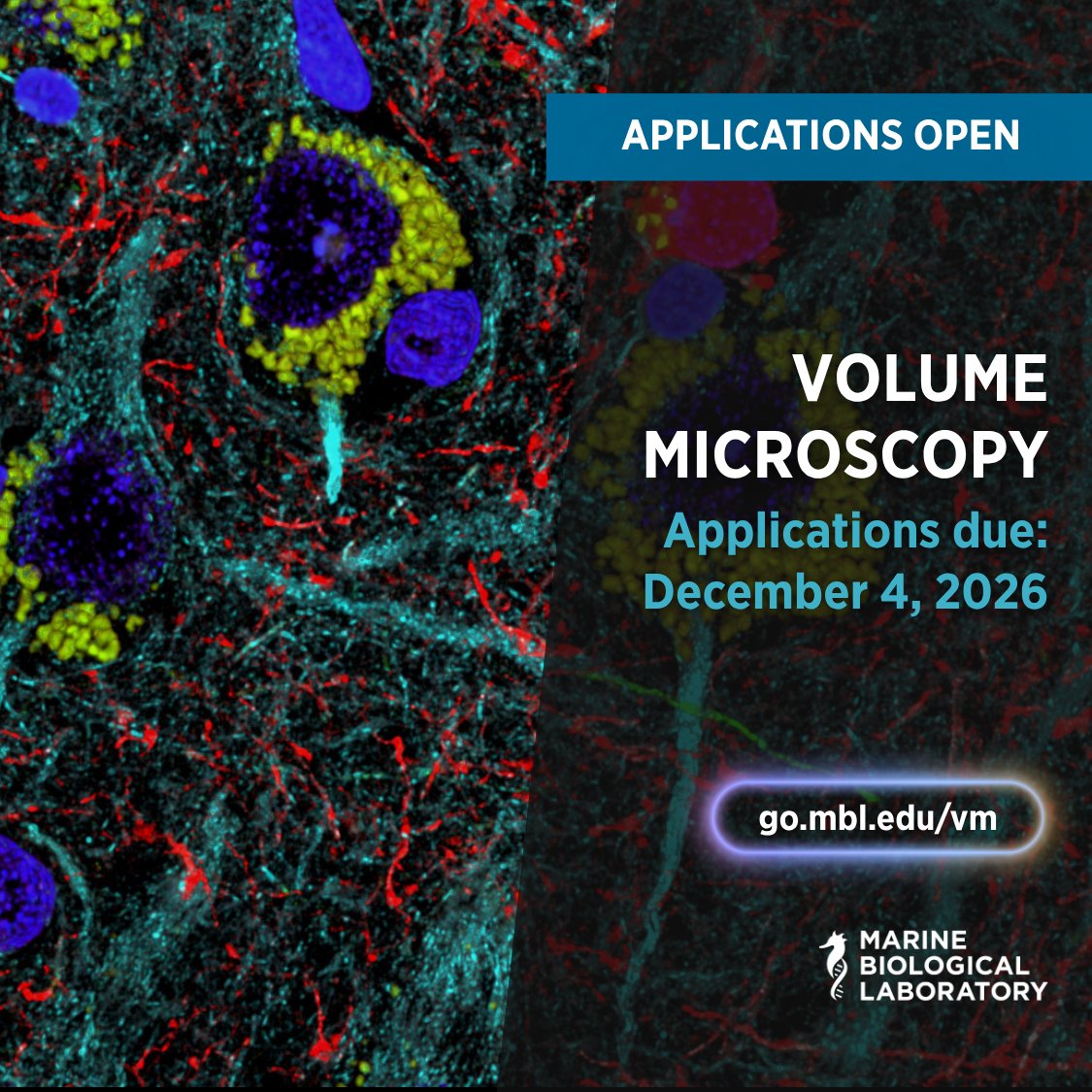 MBLScience tweet picture
