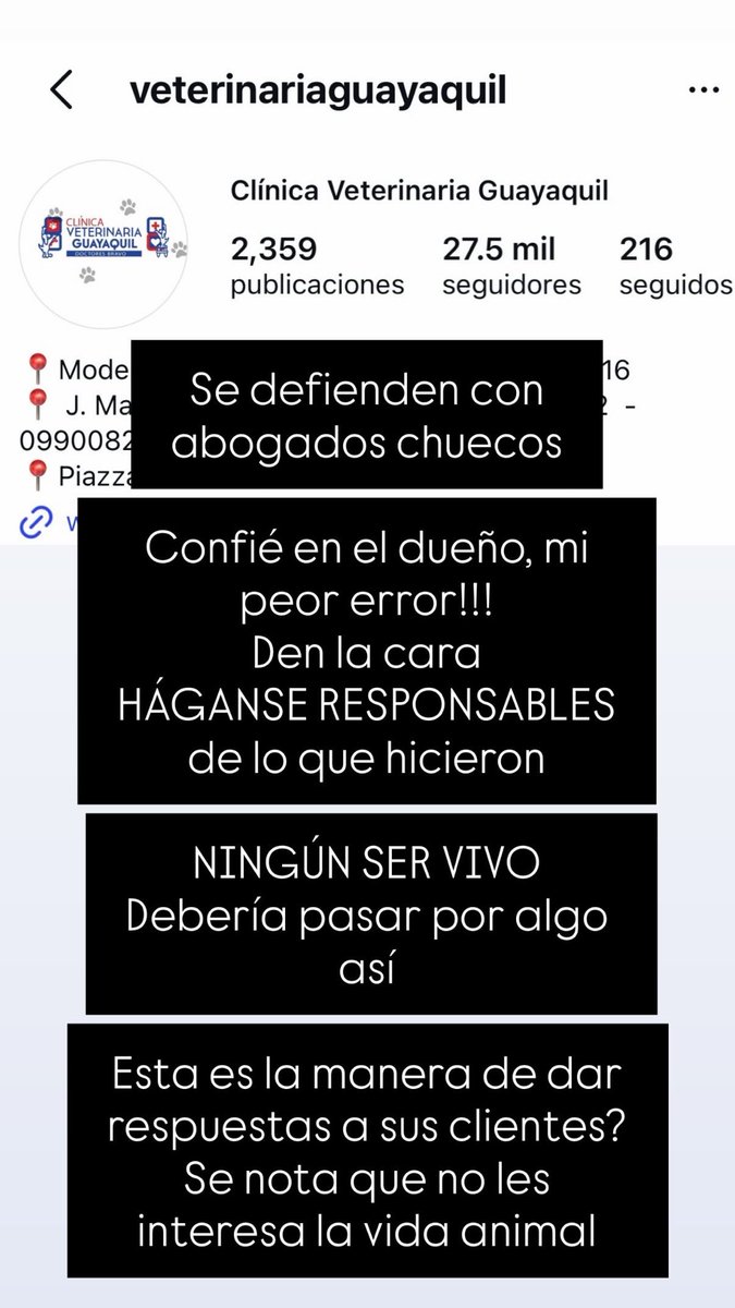 isabellaelr's tweet photo. NADIE DEBERÍA IR COMO CLIENTE A LA #VETERINARIA GUAYAKILL
#VeterinariaGuayaquil #Animales #Mascotas #Muerte #negligencia #NegligenciaMedica #Medica #Veterinarios #ColegioDeVeterinarios #Ecuador #Proanimal #Denuncia #Maltratoanimal #MalaPractica #MalaPraxis #Municipio #SOS https://t.co/th2HpG6Dn2