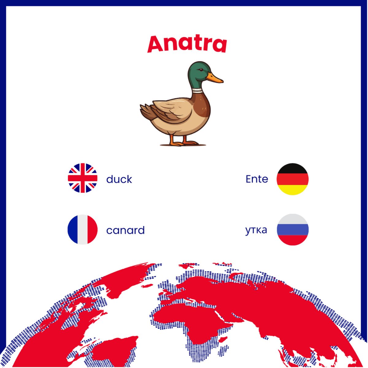 HildredFratz's tweet photo. The word of the week is... DUCK! Small, funny, elegant when swimming, and a little clumsy when walking. Its name changes from one language to another, but the “how cute” feeling is universal. How do you say “duck” around the world? Italian: anatra https://t.co/1yLLXbu4N7