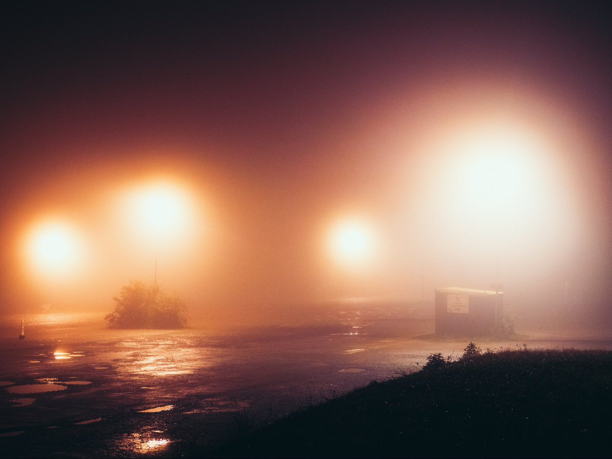artofseanmurphy's tweet photo. All too quiet https://t.co/uyXI5Tzat7