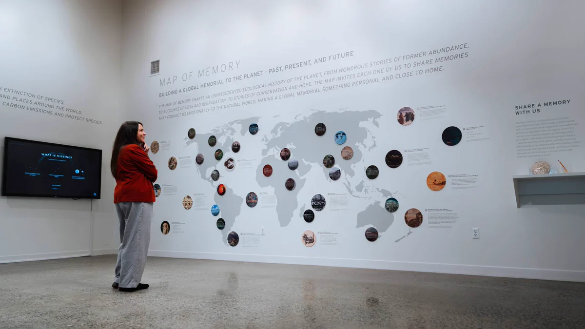 a person looking at a large world map on a wall